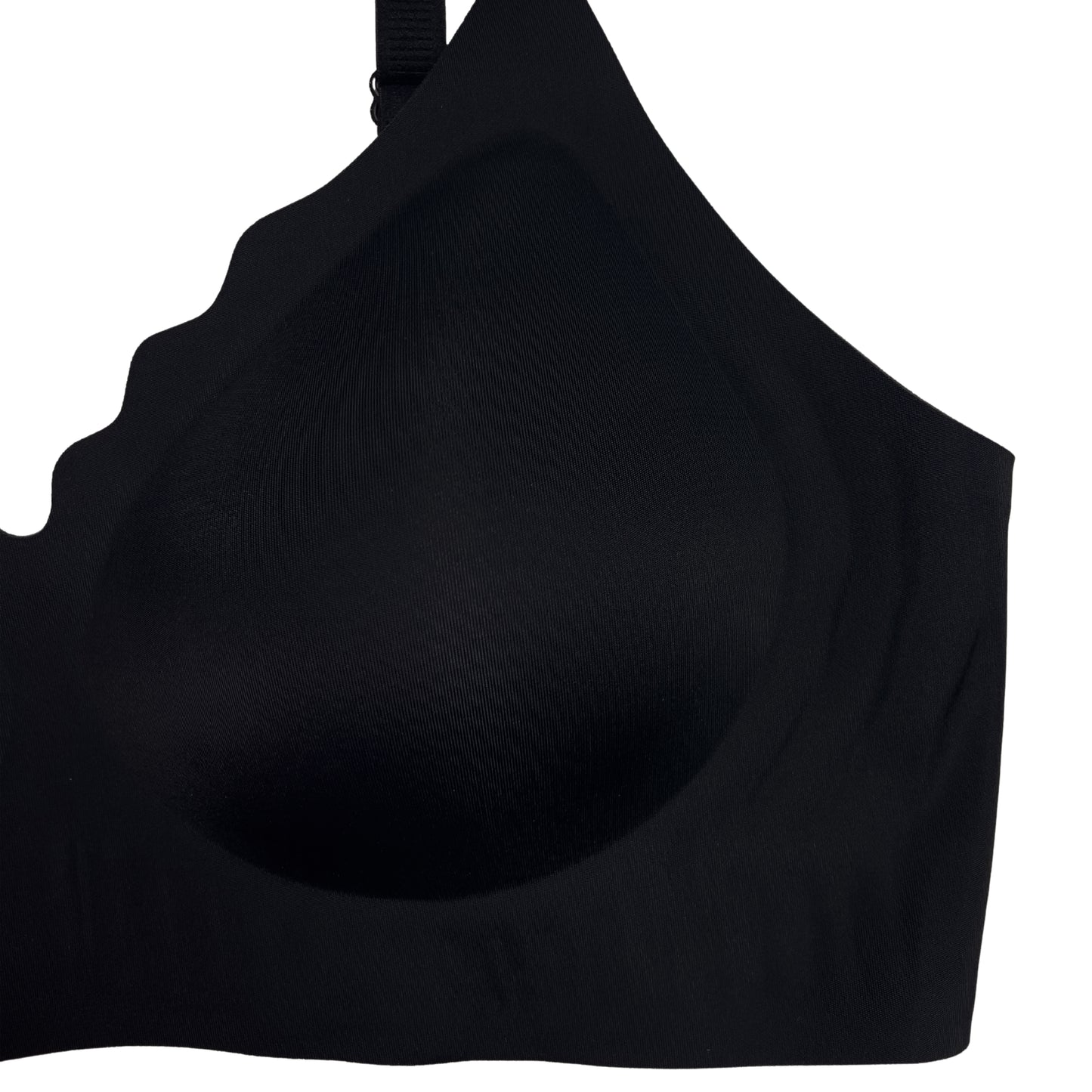 Sajiero Padded Bra - Scallop Seamless