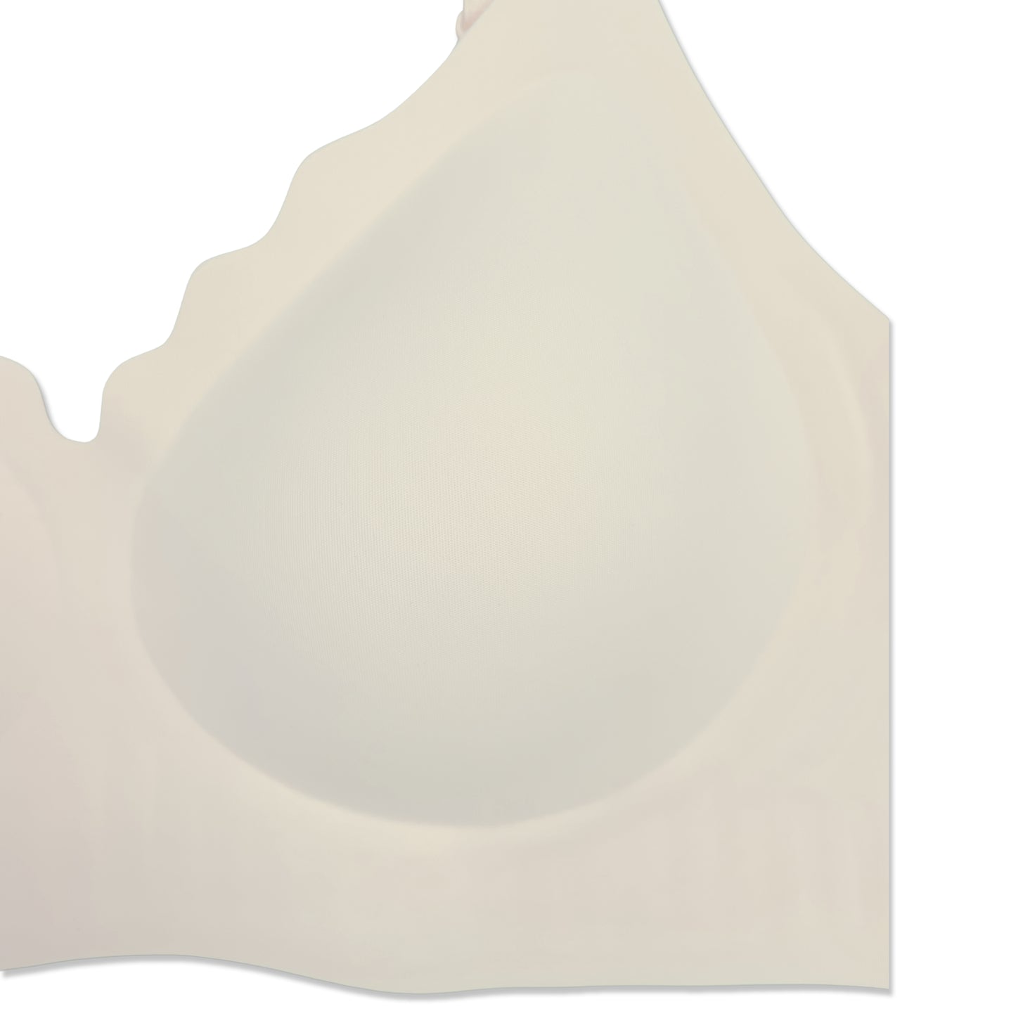 Sajiero Padded Bra - Scallop Seamless