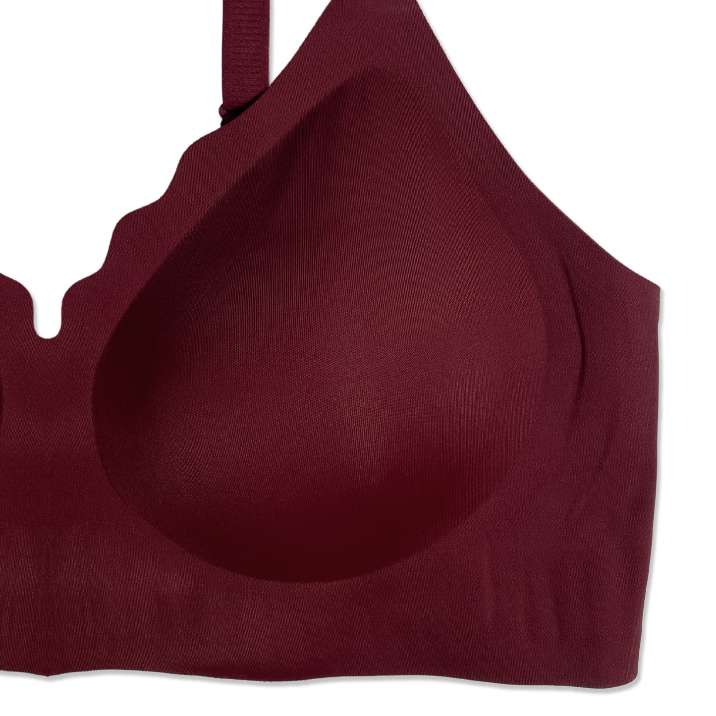 Sajiero Padded Bra - Scallop Seamless