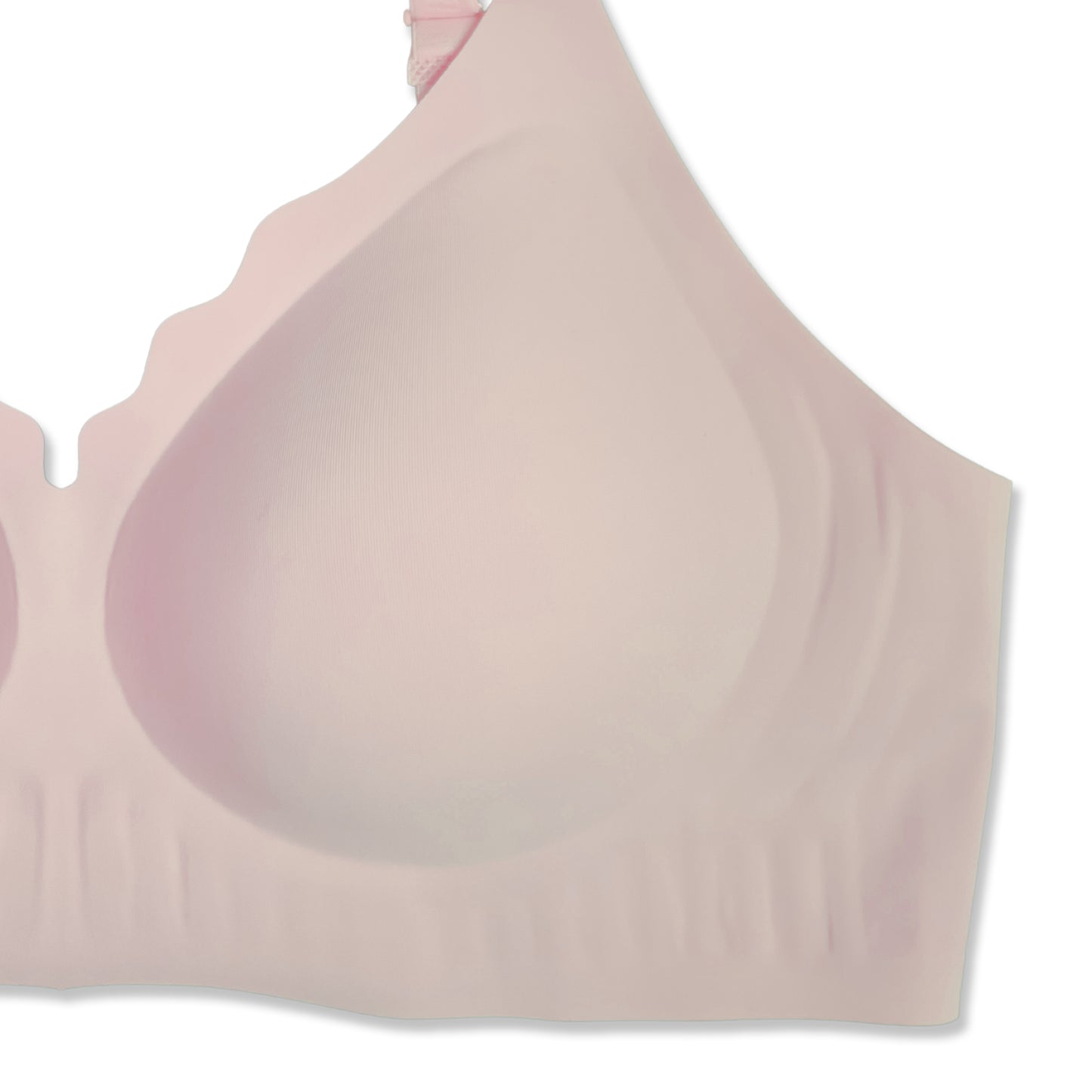 Sajiero Padded Bra - Scallop Seamless