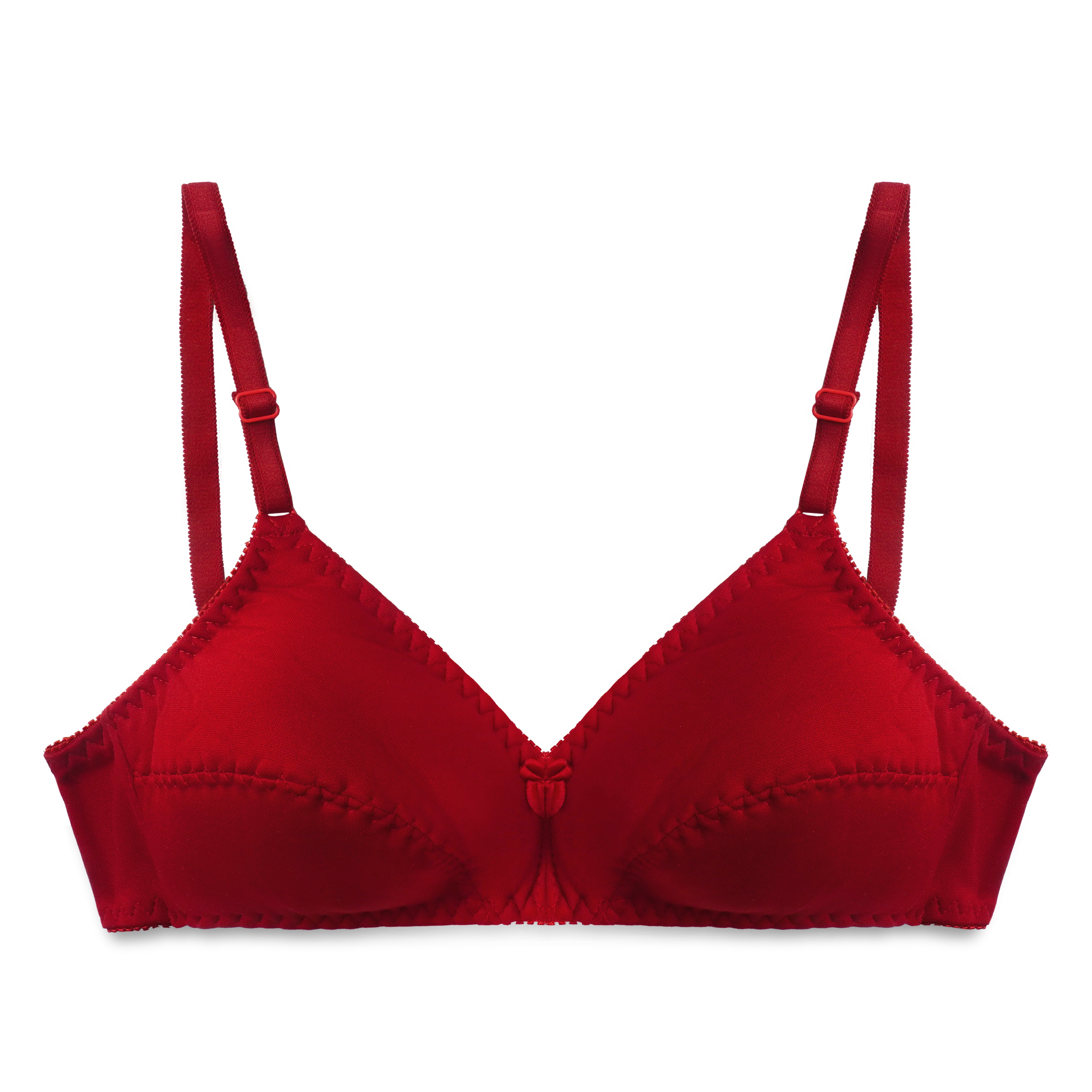 Padded Luxe Single Padded Casual Wireless Bra