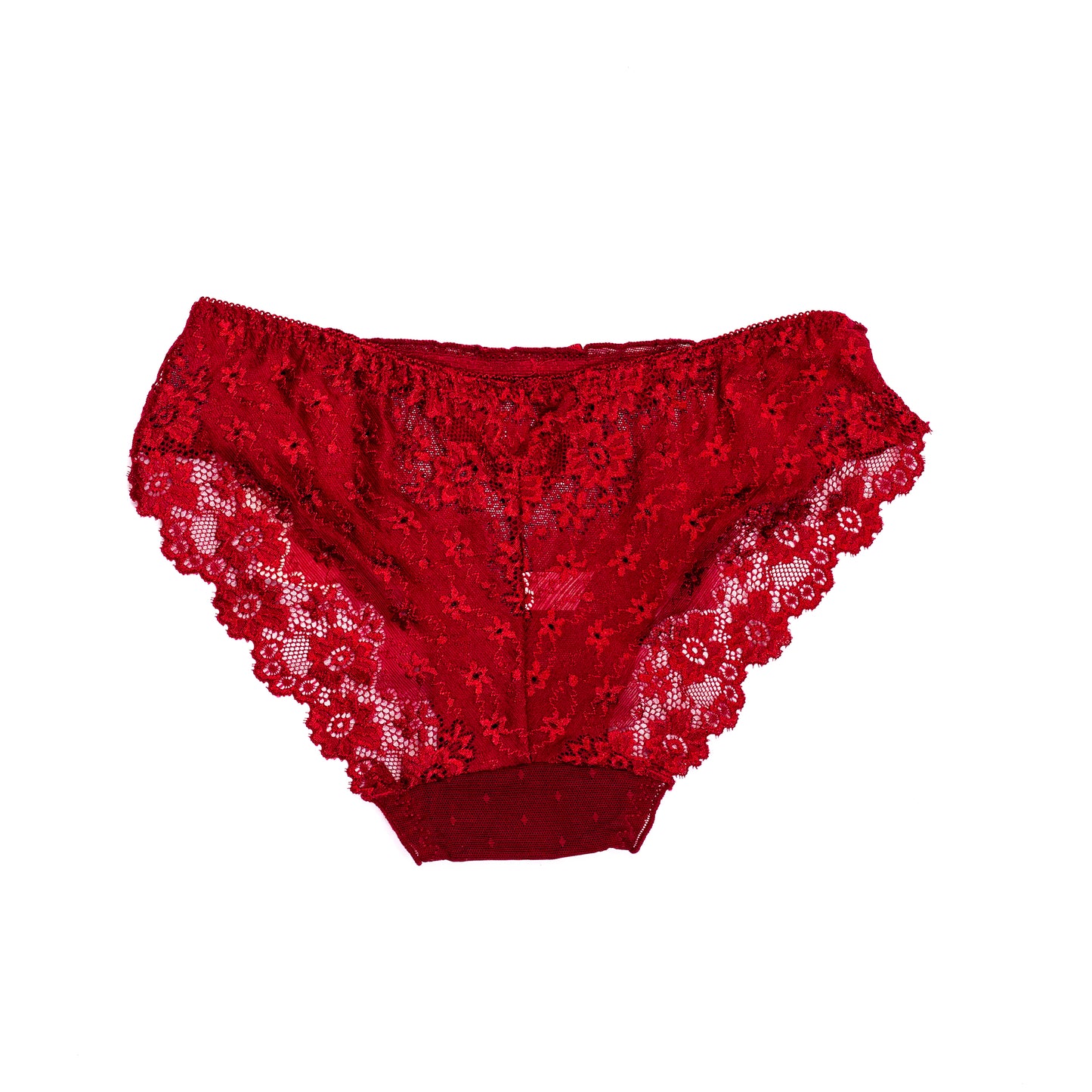 Flowers Embroidery Net Panty