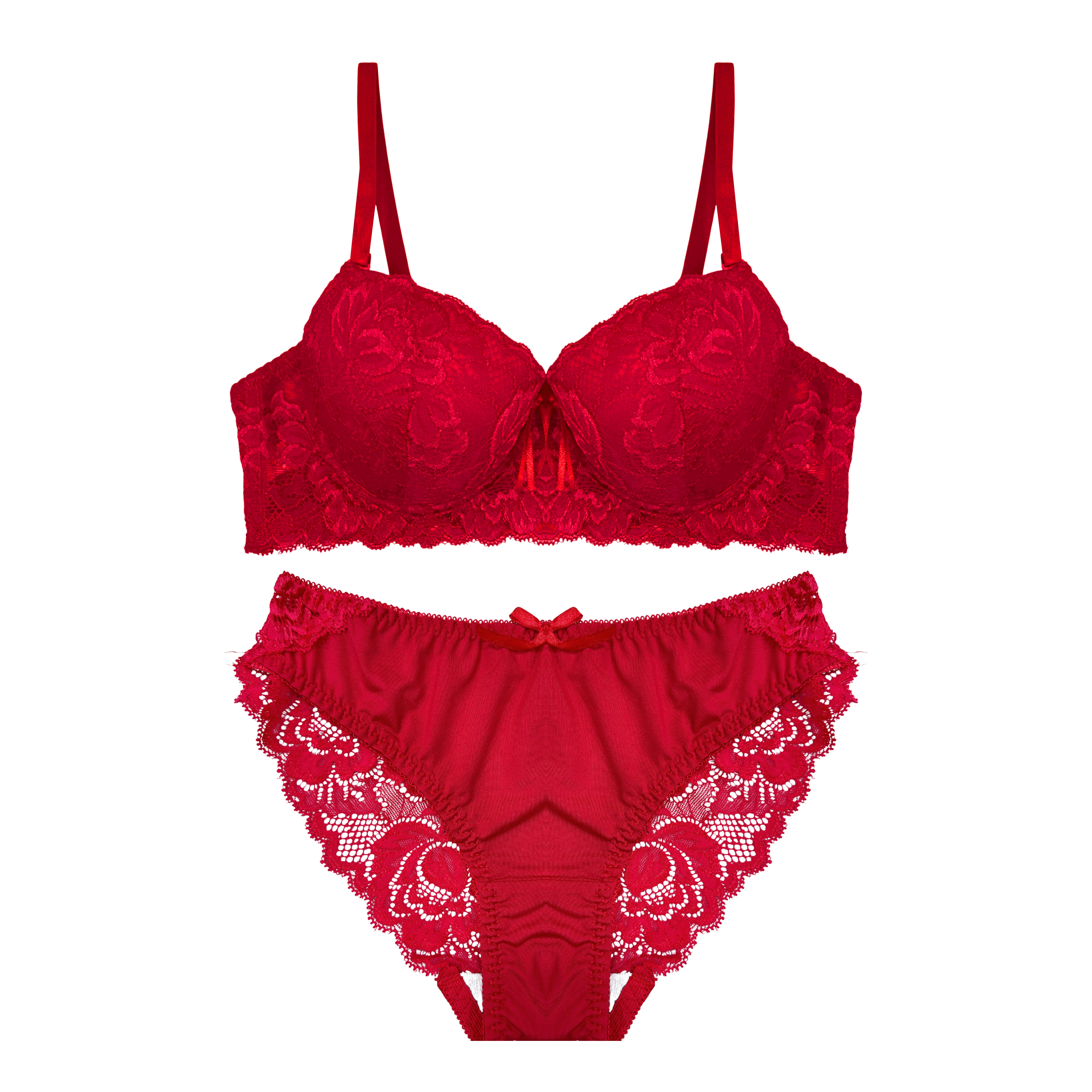 Rosy Maroon Embroidered Padded Bra and Panty Set