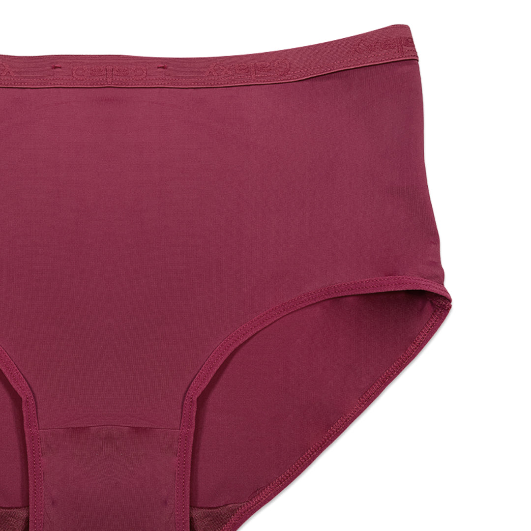 Pack of 3 Briefs Panties - Comfort Cotton