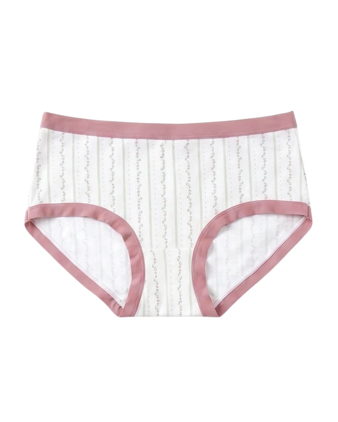Pack Of 3 - Brief Panty - Rosevine