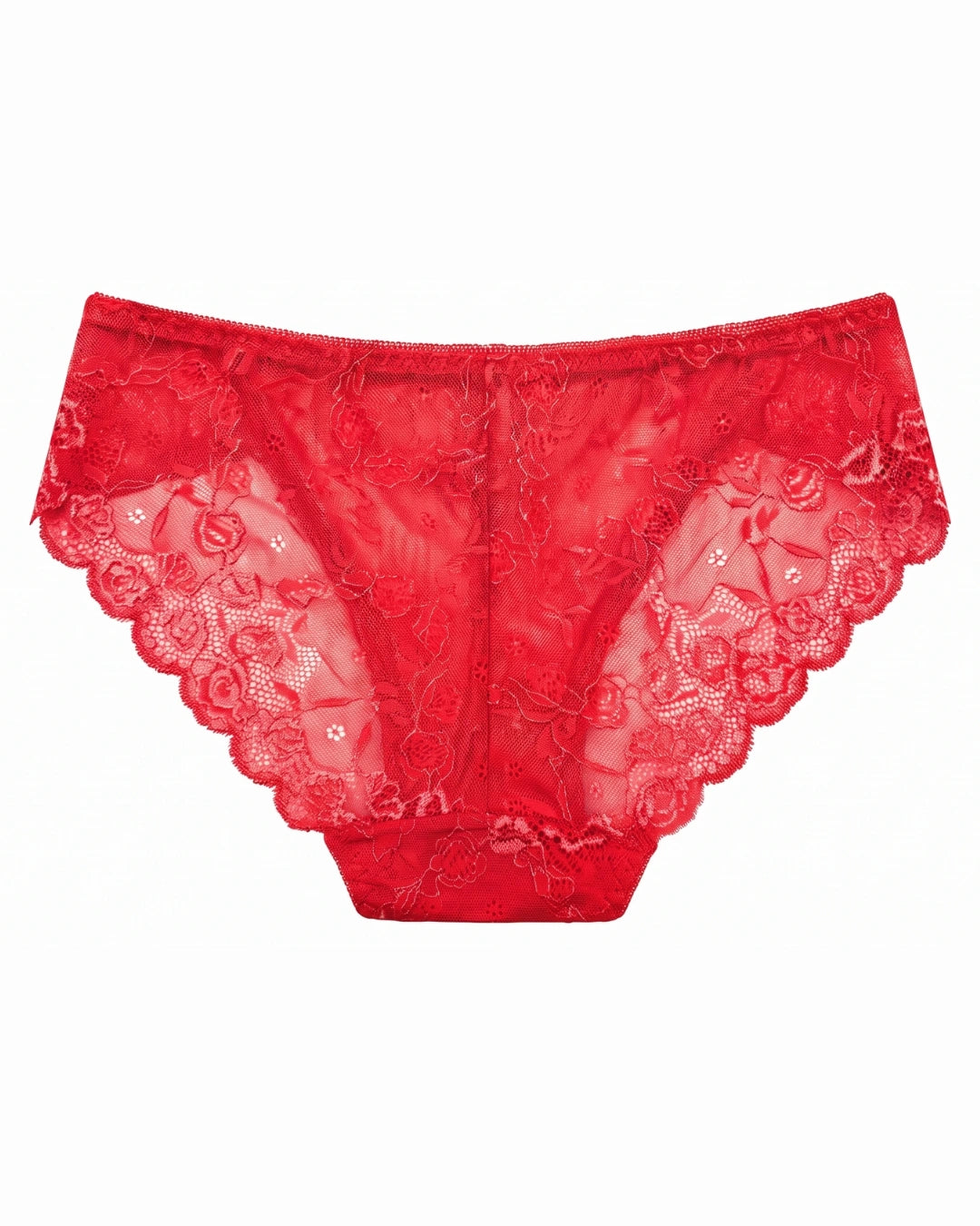 Brief Panty - Floral Lace - Red