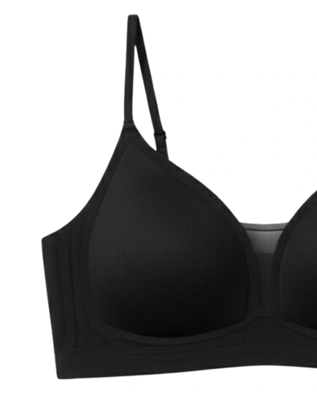 Seamless Padded Bra - Zenvy - Black