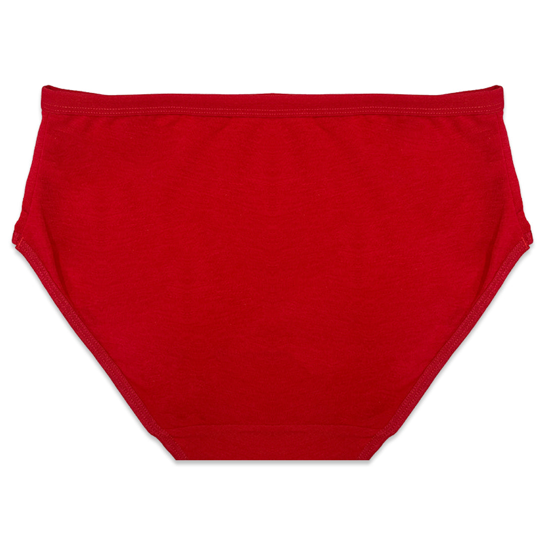 Pack of 5 Briefs Panties - Cotton Vibe