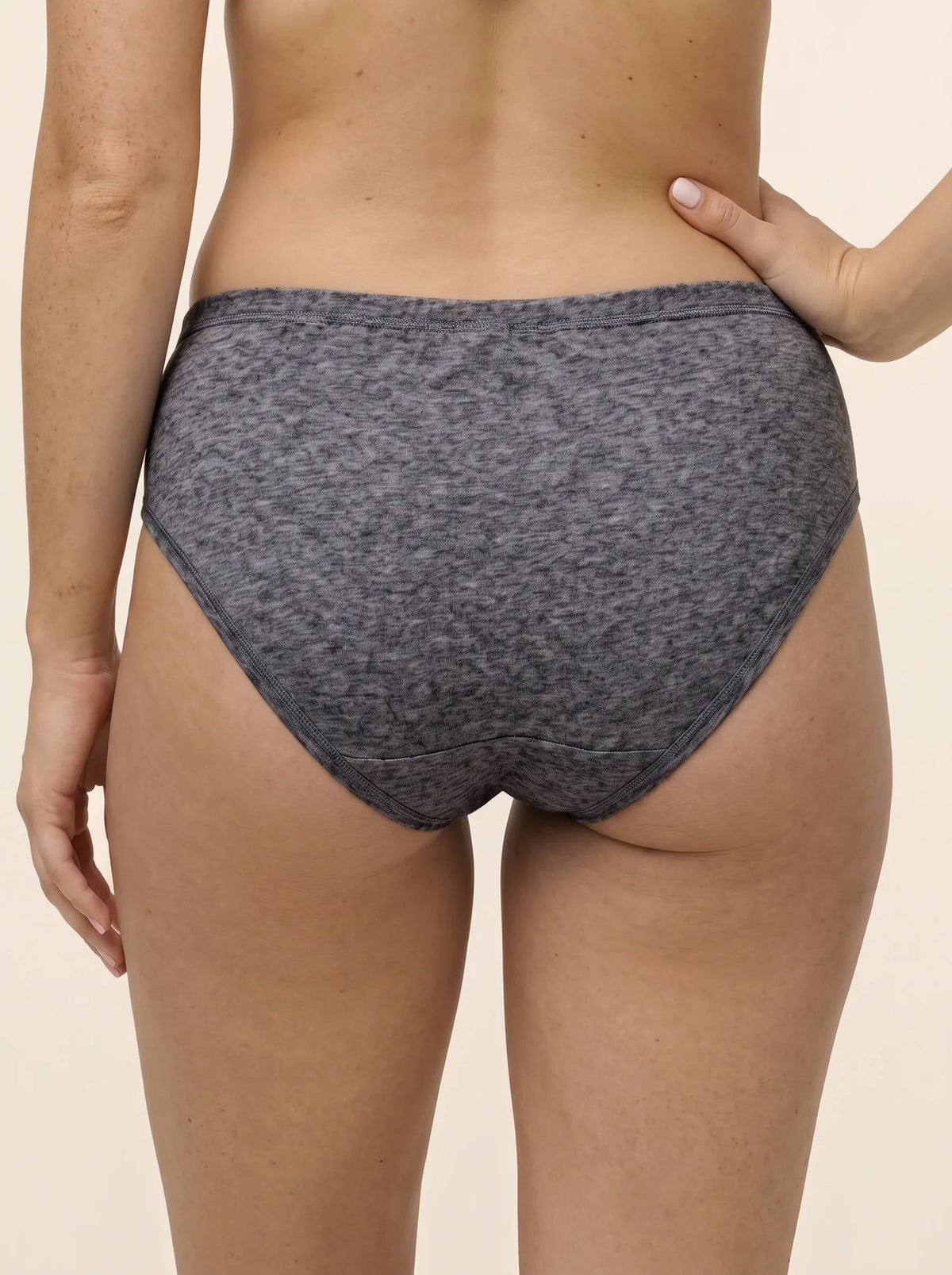 Pack Of 2 Brief Cotton Panty - Cloud Comfort