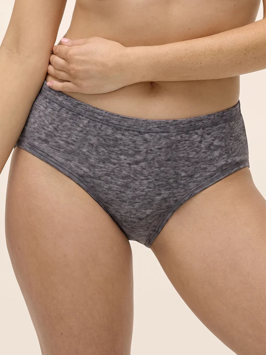 Pack Of 4 Brief Cotton Panty - Cloud Comfort