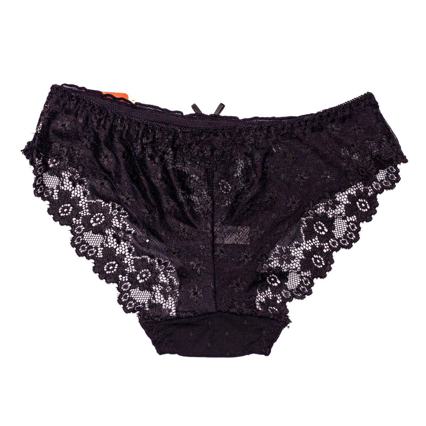 Flowers Embroidery Net Panty