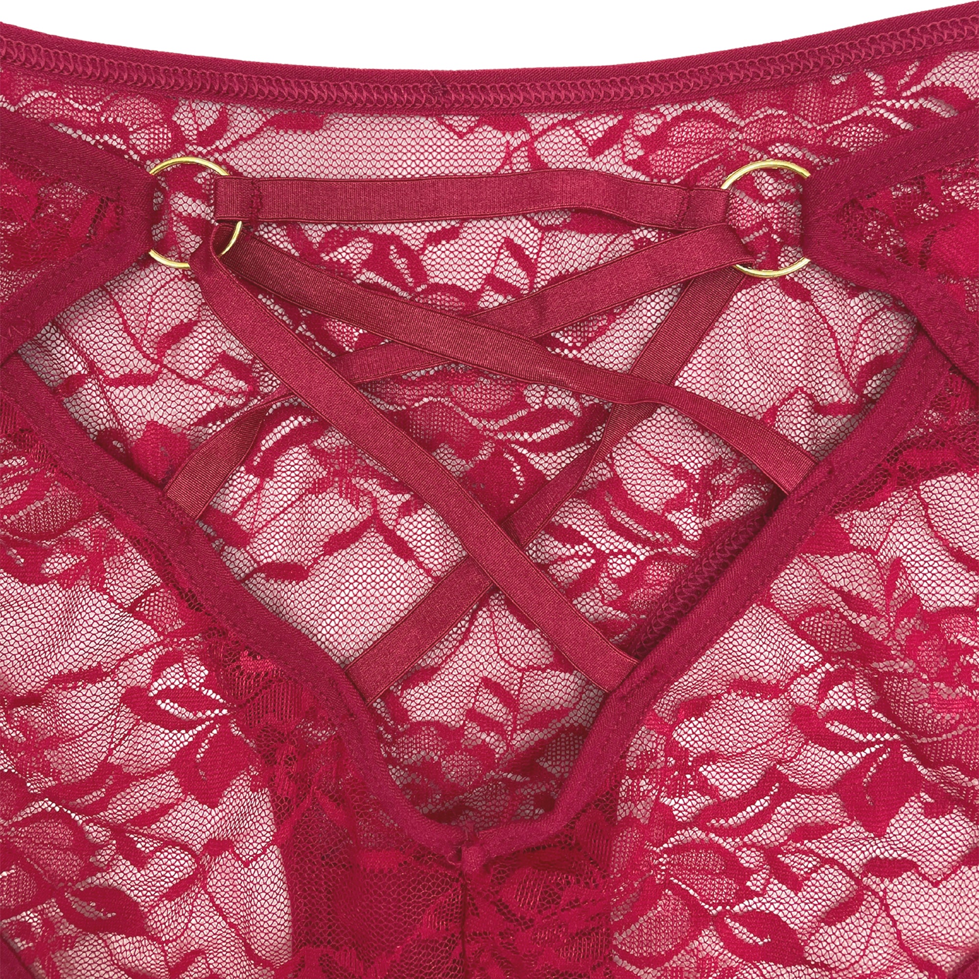 Hipster Panty - Fiery Lace