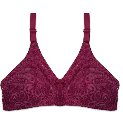 Pack of 4 - Sajiero Lace Net Bras